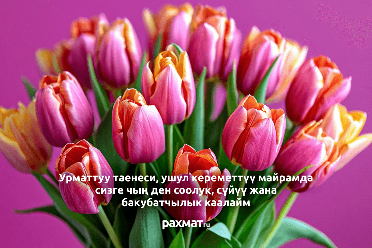 Открытка на 8 Марта на киргизском